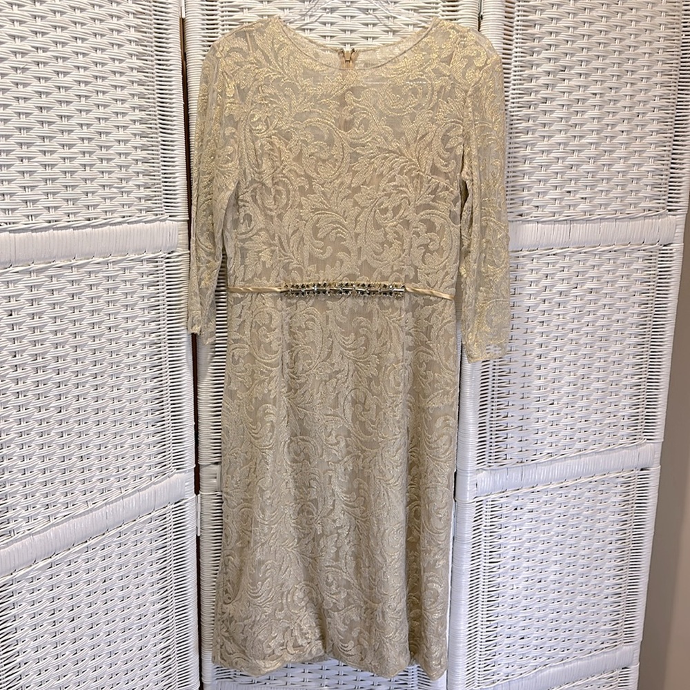 Teri Jon Lace dress 10